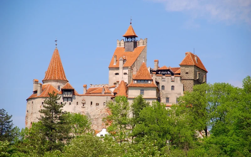 Blick auf ein verwinkeltes Schloss mit vielen unterschiedlich großen Türmchen und Erkern mit roten Dachflächen, im Vordergrund eine Baumgruppe mit Nadel- und Laubbäumen, im Hintergrund hellblauer Himmel, eine kleine graue Wolke in der rechten oberen Bildecke